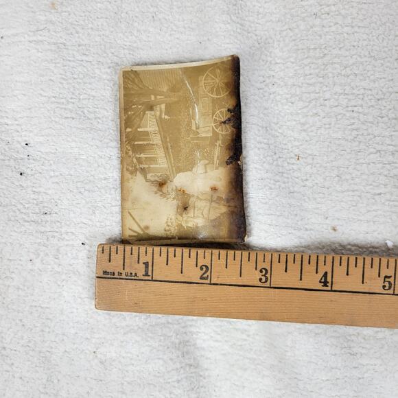 Antique Photo Western Woman Goat Carriage House Studio Photography 1800s Photos - Picture 6 of 6